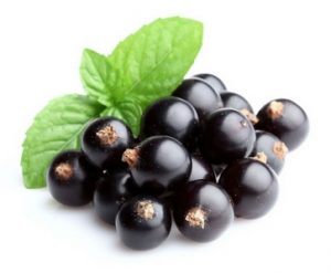 buah vitamin c - Blackcurrant