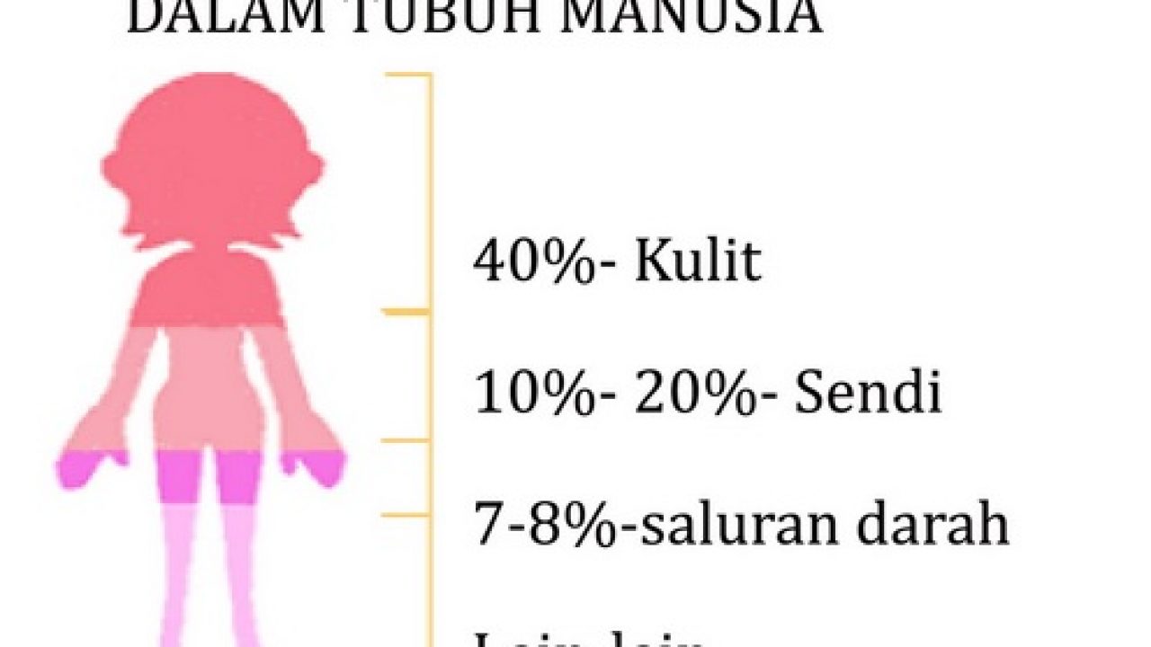 12 Fungsi Kolagen Bagi Kesehatan Dan Tubuh Halosehat