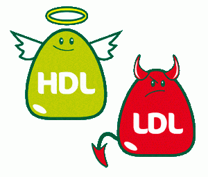 kolesterol LDL dan HDL
