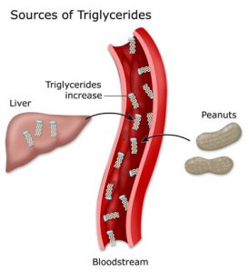 perbedaan kolesterol dan trigliserida