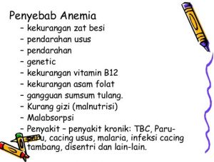 penyebab anemia