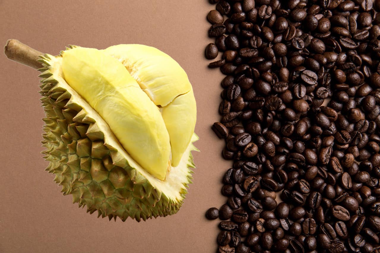 Usai Bercinta, Pria Tewas Akibat Konsumsi Kopi dan Durian?