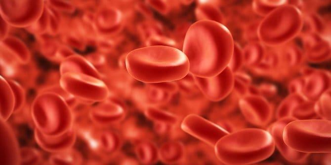 6 Jenis Buah Untuk Melancarkan Peredaran Darah