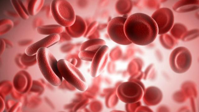 Inilah 5 Cara Mudah Menjaga Kesehatan Sel Darah